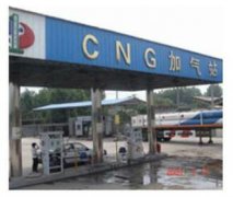 成功成人看片软件下载