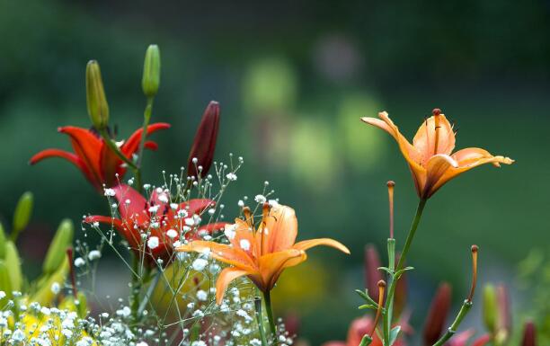 螺杆手机看片91AV