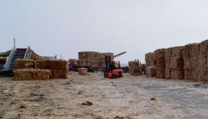 無油手机看片91AV